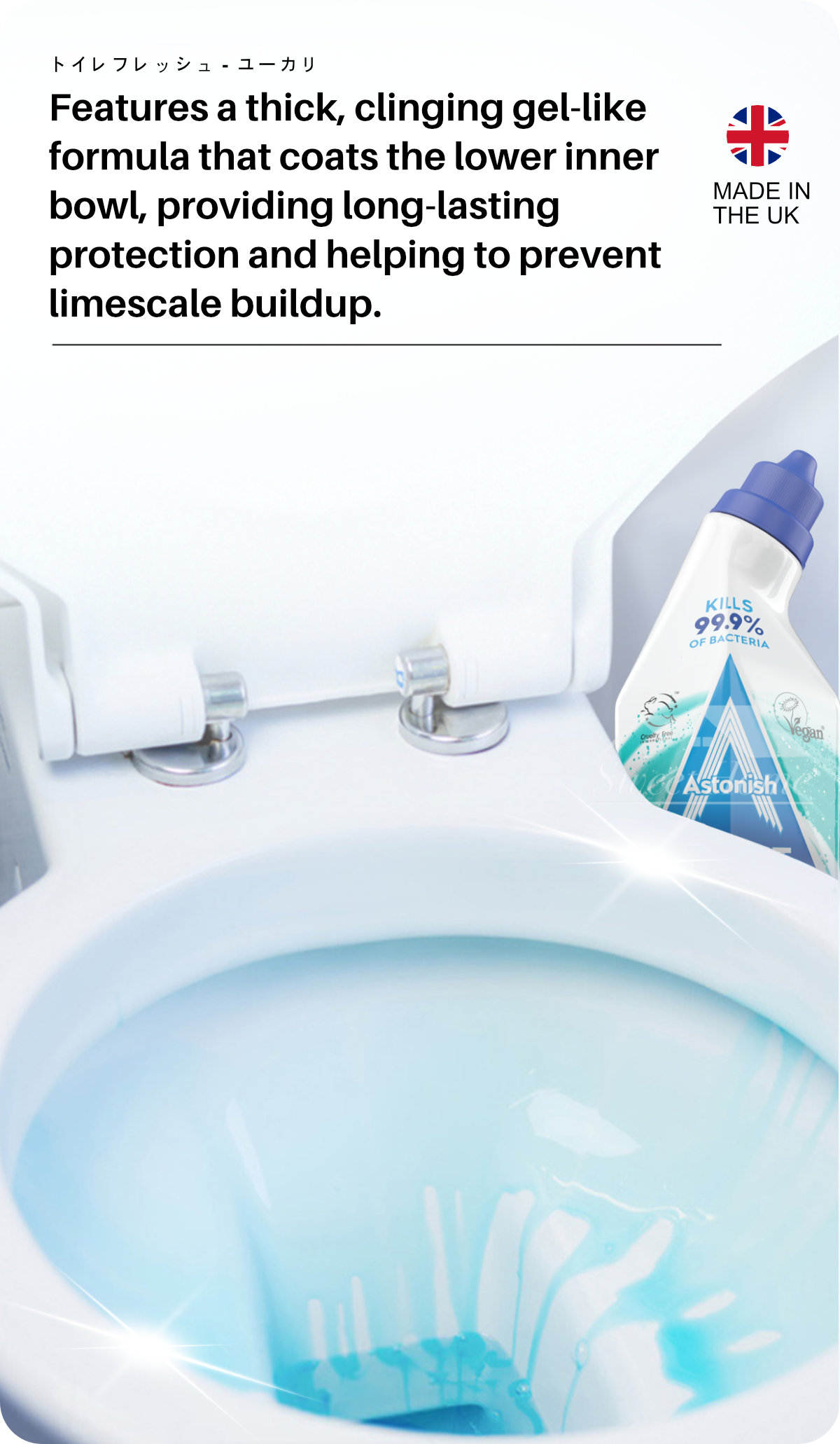 Astonish Toilet Fresh Gel-5